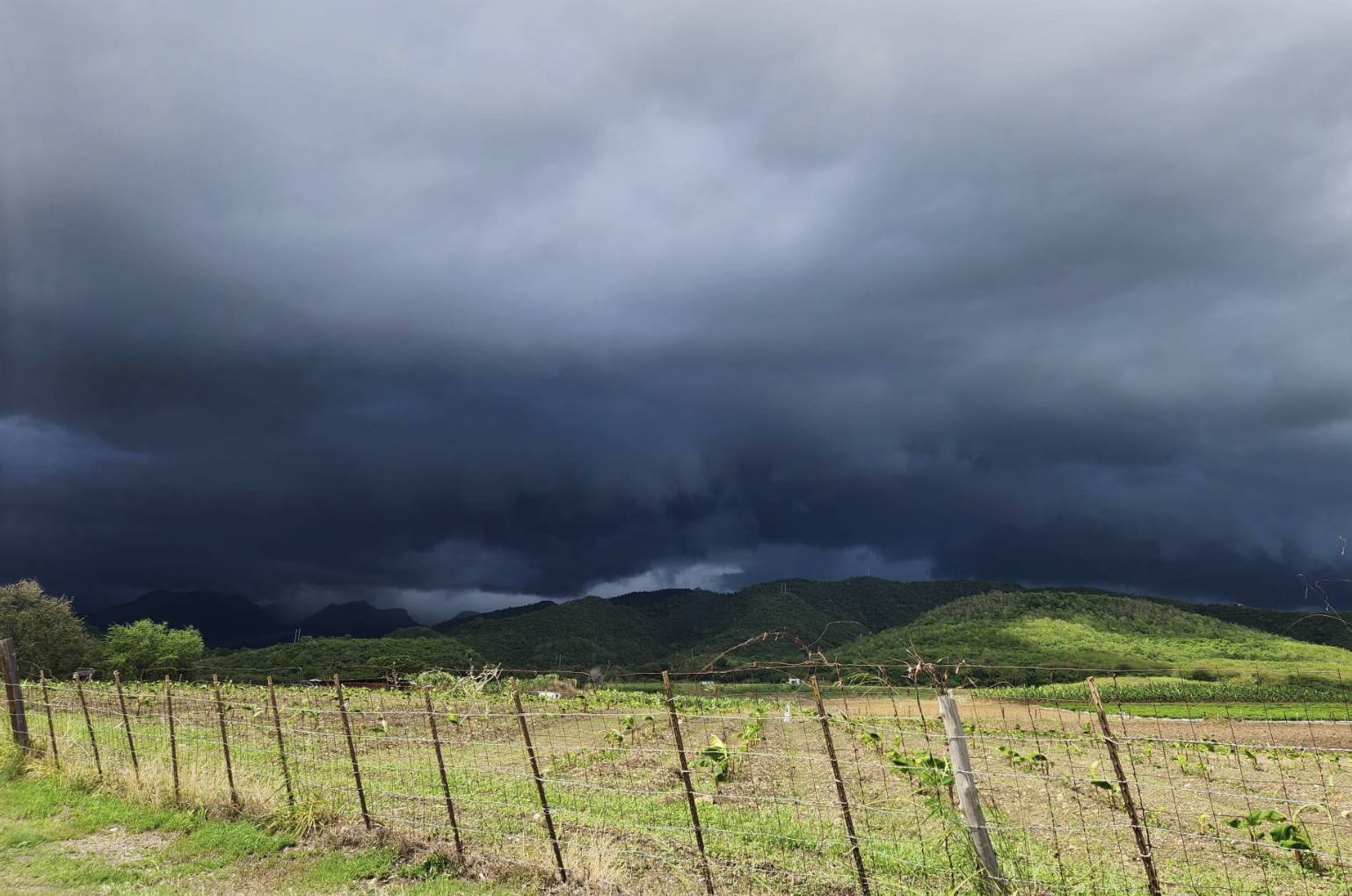 Descripción de la imagen