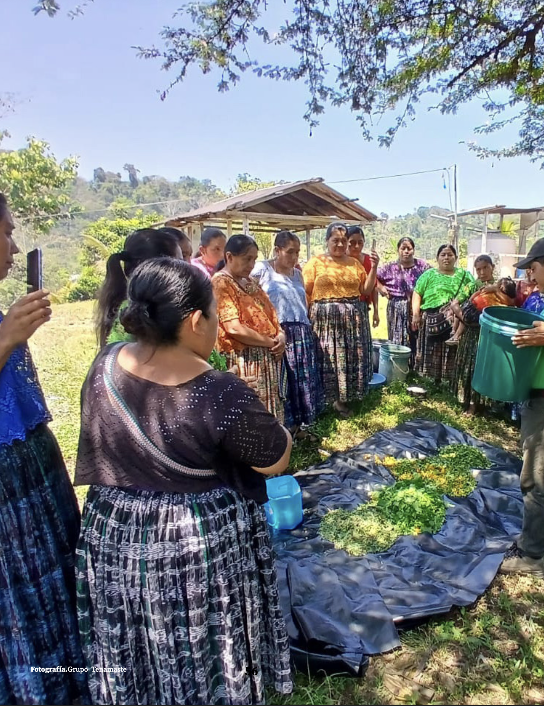 Personas trabajando en el campo