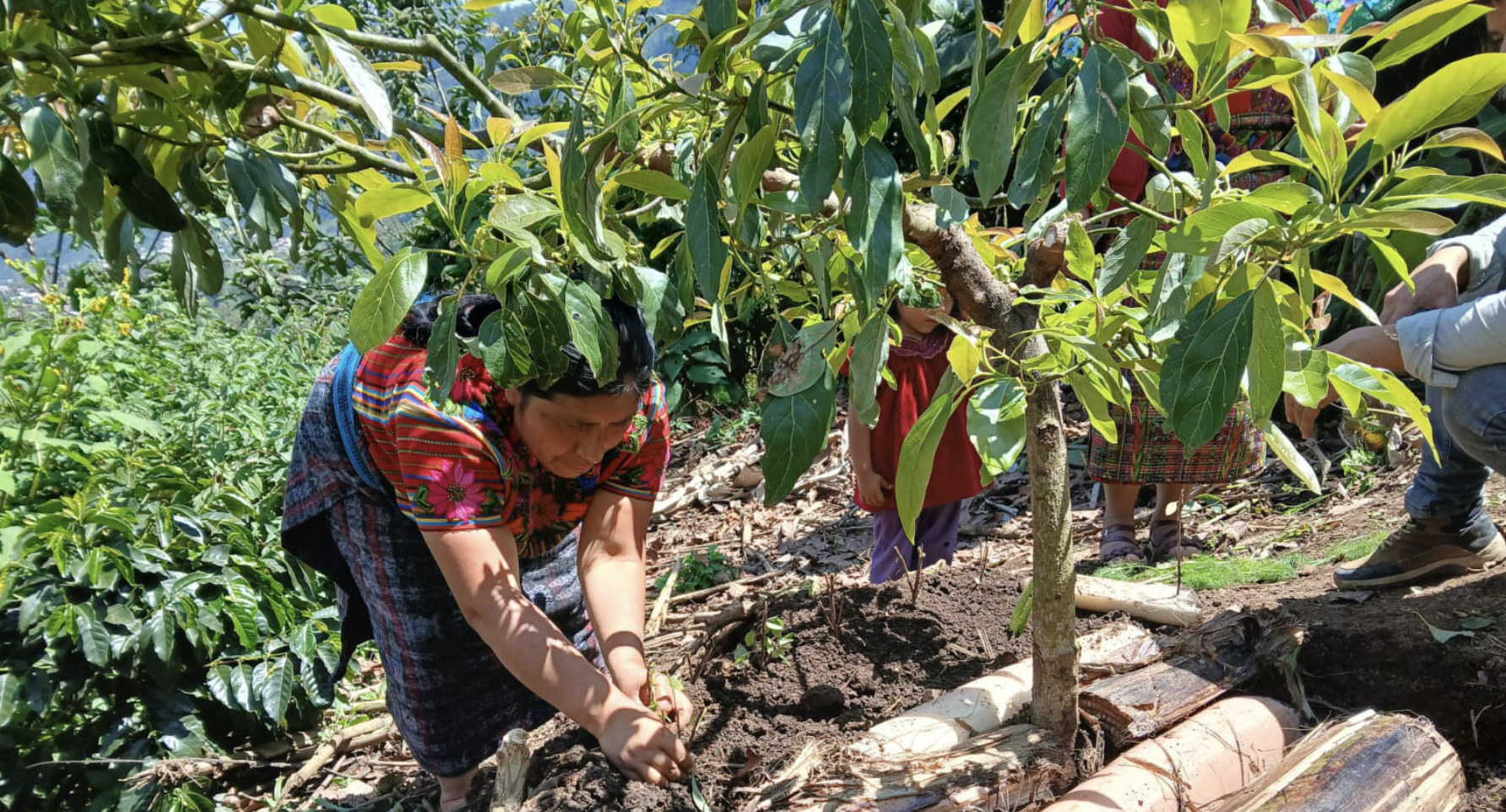 Personas trabajando en el campo
