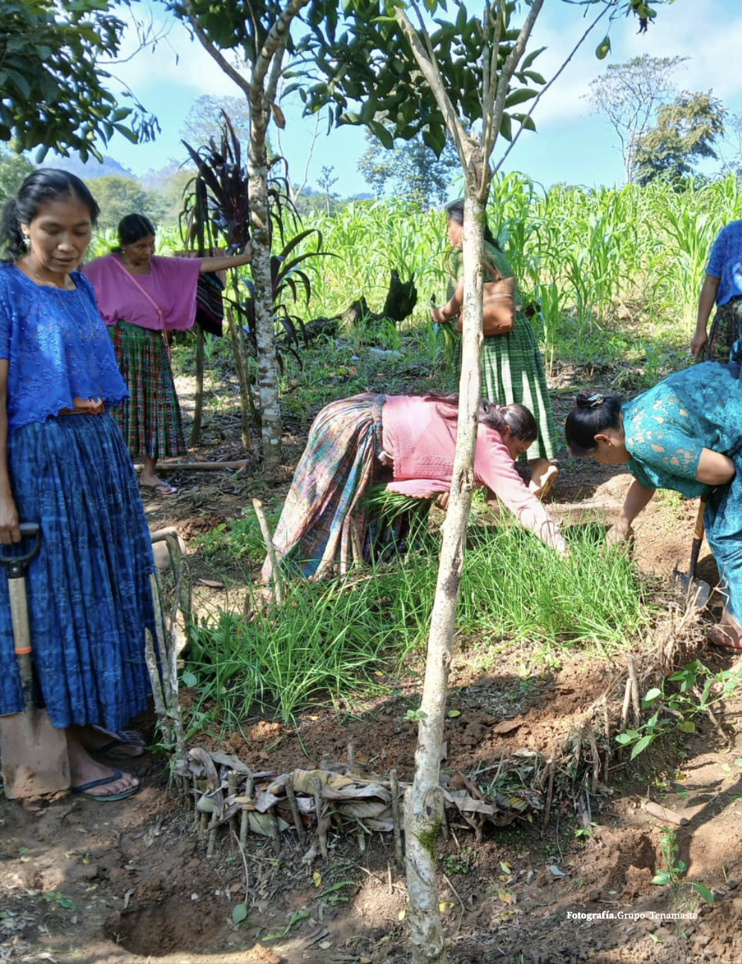 Personas trabajando en el campo