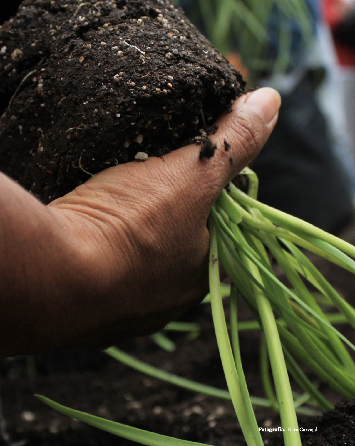 metodologia para calcular