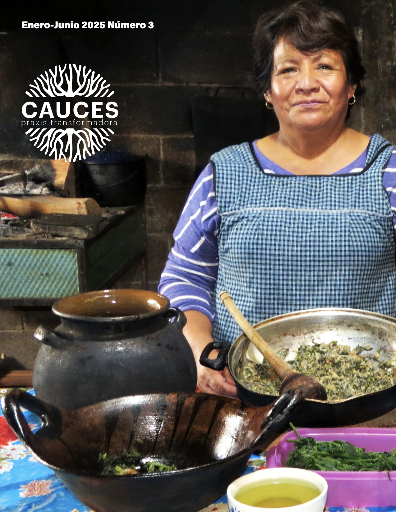 Portada Revista CAUCES Número 3