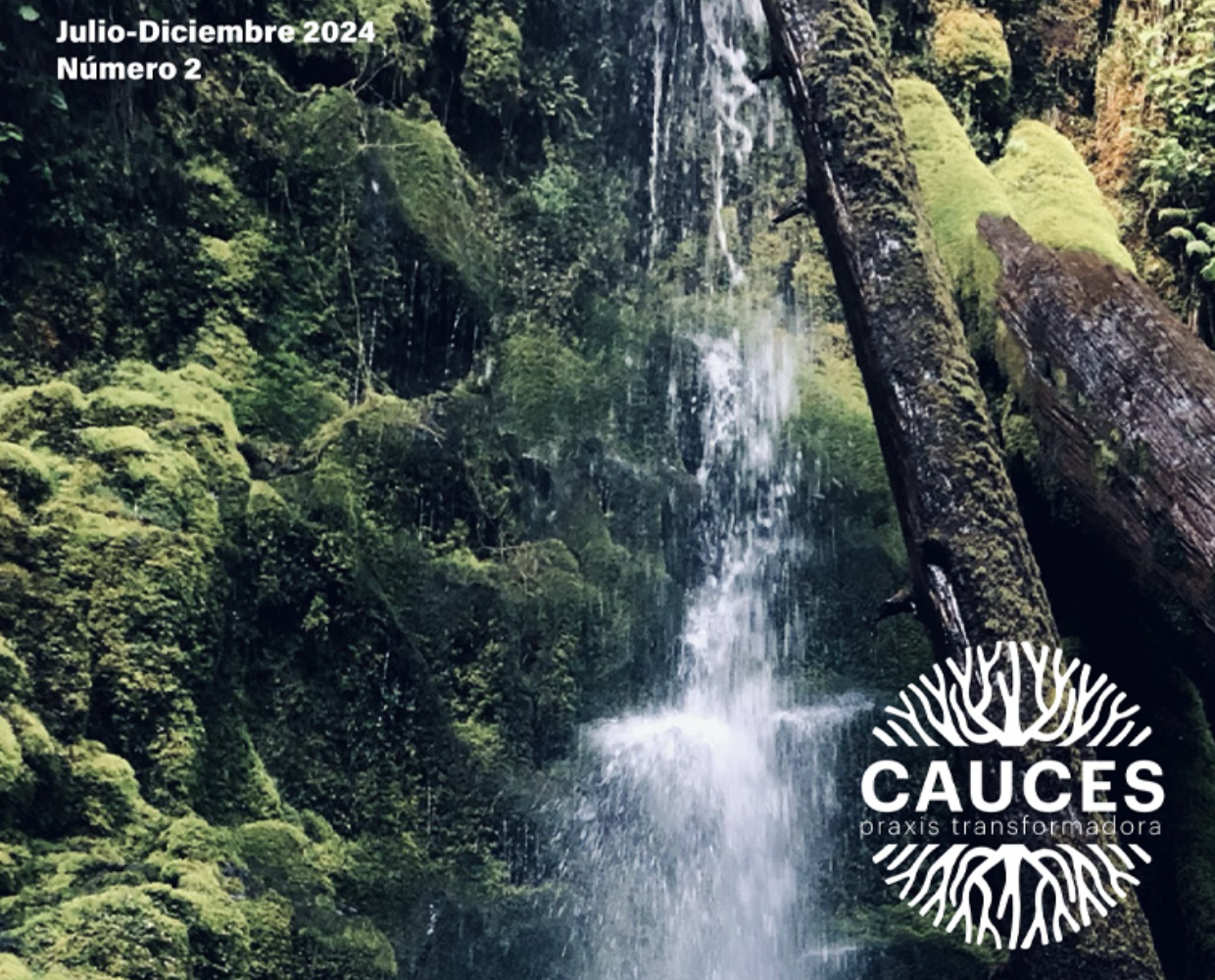 Portada CAUCES Número 2