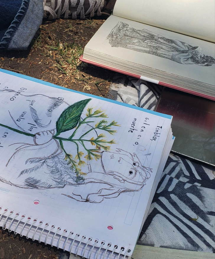Dibujo en libreta, foto por Carolina Estrada García
