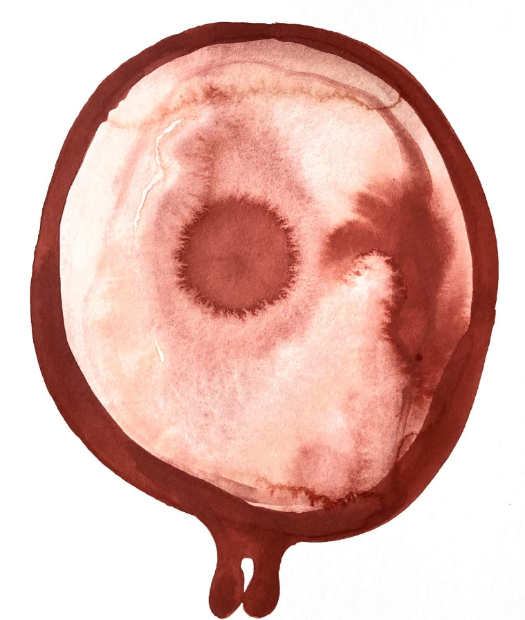 Fotografía. Débora Passos / Ginófitas Aquarela